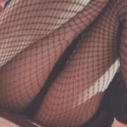 ヒメ日記 2025/06/01 11:14 投稿 ミソノ【一夜だけじゃ物足りない♥】 ドMなバニーちゃん和歌山店