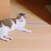 ヒメ日記 2025/06/28 02:52 投稿 みなみ 人妻㊙︎倶楽部