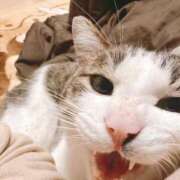 ヒメ日記 2025/07/03 00:17 投稿 みなみ 人妻㊙︎倶楽部