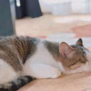 ヒメ日記 2025/07/08 20:22 投稿 みなみ 人妻㊙︎倶楽部