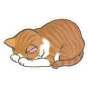 ヒメ日記 2025/08/31 19:52 投稿 みなみ 人妻㊙︎倶楽部