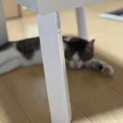 ヒメ日記 2025/09/15 13:02 投稿 みなみ 人妻㊙︎倶楽部