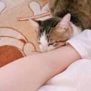 ヒメ日記 2025/09/19 23:32 投稿 みなみ 人妻㊙︎倶楽部