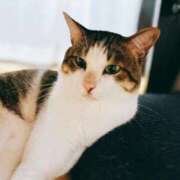 ヒメ日記 2025/09/21 19:52 投稿 みなみ 人妻㊙︎倶楽部