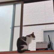 ヒメ日記 2025/10/18 14:20 投稿 みなみ 人妻㊙︎倶楽部