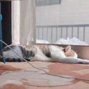 ヒメ日記 2025/10/23 16:20 投稿 みなみ 人妻㊙︎倶楽部