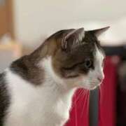 ヒメ日記 2025/11/05 15:20 投稿 みなみ 人妻㊙︎倶楽部