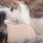 ヒメ日記 2025/11/12 20:21 投稿 みなみ 人妻㊙︎倶楽部