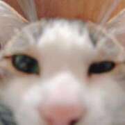 ヒメ日記 2025/11/28 17:50 投稿 みなみ 人妻㊙︎倶楽部