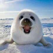 ヒメ日記 2026/01/13 09:20 投稿 みなみ 人妻㊙︎倶楽部