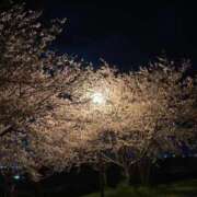 ヒメ日記 2026/04/01 10:20 投稿 みなみ 人妻㊙︎倶楽部