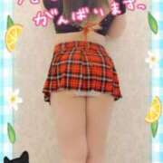 ヒメ日記 2025/05/10 12:07 投稿 はる(8000) 原価デリヘルcospa（コスパ）