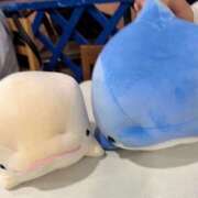 ヒメ日記 2025/05/05 10:08 投稿 明石いおな ハプニング痴漢電車or全裸入室