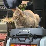 ヒメ日記 2025/10/26 11:55 投稿 明石いおな ハプニング痴漢電車or全裸入室