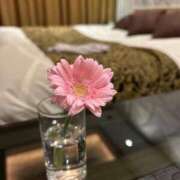 ヒメ日記 2025/07/14 08:09 投稿 水原若葉(みずはらわかば) 九州熟女　熊本店