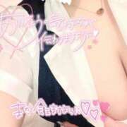 ひめか 🎀10/31 ニューヨーク 205 初めまして Tちゃん ラブレターもありがと💌🎀 群馬伊勢崎ちゃんこ