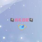 ヒメ日記 2025/03/17 14:39 投稿 りの Vitamin〜ビタミン〜