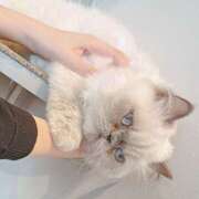 ヒメ日記 2025/05/11 14:32 投稿 りの Vitamin〜ビタミン〜