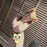 ヒメ日記 2025/04/04 09:00 投稿 のの ウルトラグレイス24