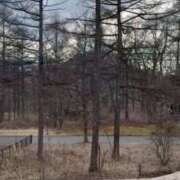 ヒメ日記 2025/04/06 15:51 投稿 のの ウルトラグレイス24