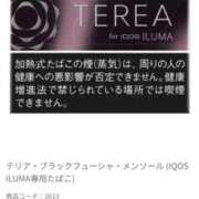 のの 典型的なISTP ウルトラグレイス24