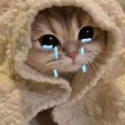 ヒメ日記 2026/03/27 07:50 投稿 のの ウルトラグレイス24