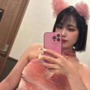 ヒメ日記 2026/04/16 08:30 投稿 のの ウルトラグレイス24