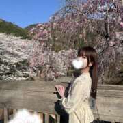 ヒメ日記 2025/04/18 09:02 投稿 なみ Linda＆Linda(リンダリンダ)