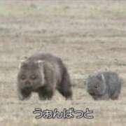 ヒメ日記 2025/04/01 13:02 投稿 まゆ 池袋モンデミーテ（シンデレラグループ）