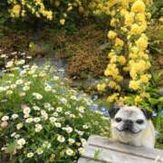 ヒメ日記 2025/05/06 22:01 投稿 まゆ 池袋モンデミーテ（シンデレラグループ）