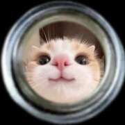 ヒメ日記 2025/06/17 12:55 投稿 まゆ 池袋モンデミーテ（シンデレラグループ）