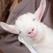 ヒメ日記 2025/08/17 20:07 投稿 まゆ 池袋モンデミーテ（シンデレラグループ）