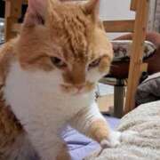 ヒメ日記 2025/08/29 23:49 投稿 まゆ 池袋モンデミーテ（シンデレラグループ）