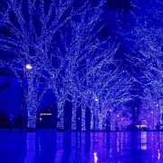 ヒメ日記 2025/11/29 07:51 投稿 白石 まり 千葉Grand Mrs.