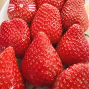 ヒメ日記 2026/03/03 15:00 投稿 白石 まり 千葉Grand Mrs.