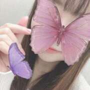 ヒメ日記 2025/04/01 14:06 投稿 さつき 胡蝶蘭