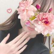 ヒメ日記 2025/04/06 14:44 投稿 さつき 胡蝶蘭