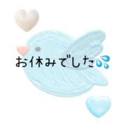 ヒメ日記 2025/05/12 15:08 投稿 さつき 胡蝶蘭