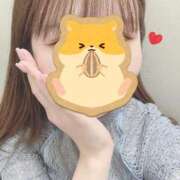 ヒメ日記 2025/05/20 12:40 投稿 さつき 胡蝶蘭