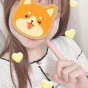 ヒメ日記 2025/06/01 11:47 投稿 さつき 胡蝶蘭