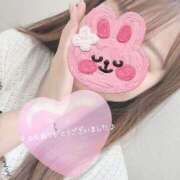 ヒメ日記 2025/06/14 18:36 投稿 さつき 胡蝶蘭