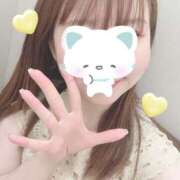 ヒメ日記 2025/06/24 13:23 投稿 さつき 胡蝶蘭