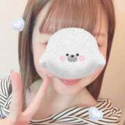 ヒメ日記 2025/06/28 20:25 投稿 さつき 胡蝶蘭