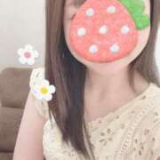 ヒメ日記 2025/07/17 14:06 投稿 さつき 胡蝶蘭