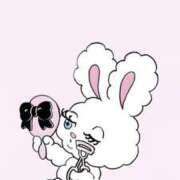 ヒメ日記 2026/03/27 12:40 投稿 さつき 胡蝶蘭