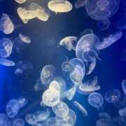 ヒメ日記 2025/05/28 20:48 投稿 あむ ハイ・チュッ