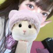 ヒメ日記 2025/03/20 07:32 投稿 ふうな 萌えカワ