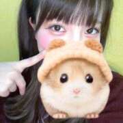 ヒメ日記 2025/04/04 12:04 投稿 ふうな 萌えカワ