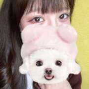 ヒメ日記 2025/04/05 16:13 投稿 ふうな 萌えカワ