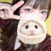 ヒメ日記 2025/04/10 06:42 投稿 ふうな 萌えカワ